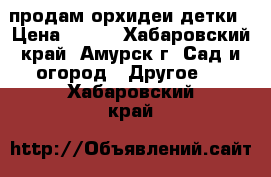 продам орхидеи детки › Цена ­ 500 - Хабаровский край, Амурск г. Сад и огород » Другое   . Хабаровский край